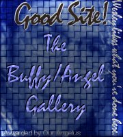 I Won the Wesley Award for Good Sites!