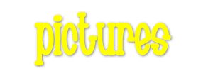 Pictures