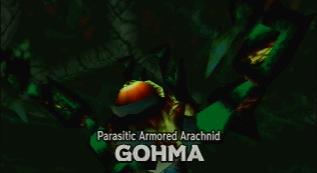 Images from Zelda : arachnide