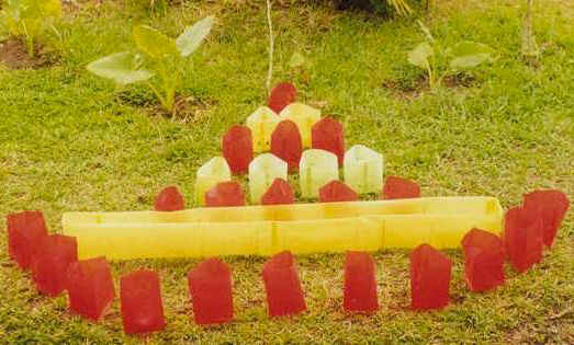 Light decoration during Diwali