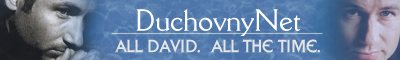 DuchovnyNet...All David, All the Time