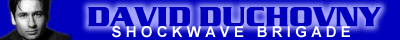David Duchovny Shockwave Brigade