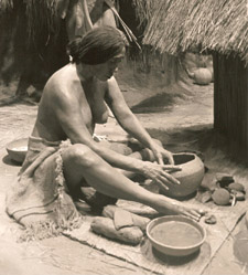 Ivy House - Still Life