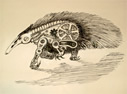 steampunk_anteater