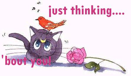 thumbnail of your picture 8