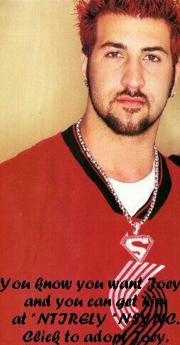 Adopt Joey at *NTIRELY *NSYNC.