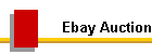 Ebay Auction