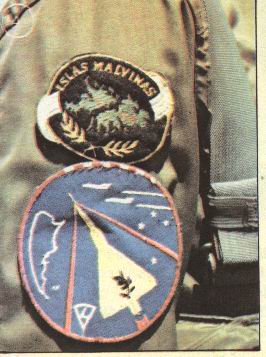El distintivo que identifica a quienes lucharon en Las Malvinas y, abajo, la insignia de los interceptores Mirage III (Grupo 8 de Caza).