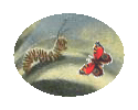 Caterpillar and Butterfly