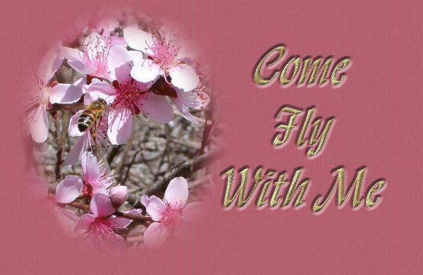 Pink flower with a bee getting nector