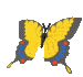 Yellow Butterfly