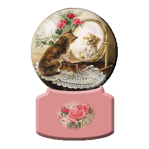 Kitten looking in mirror Globe � K�tt�� 