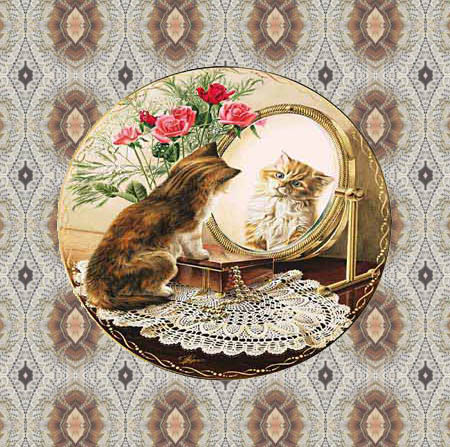 Kitten looking in a mirror