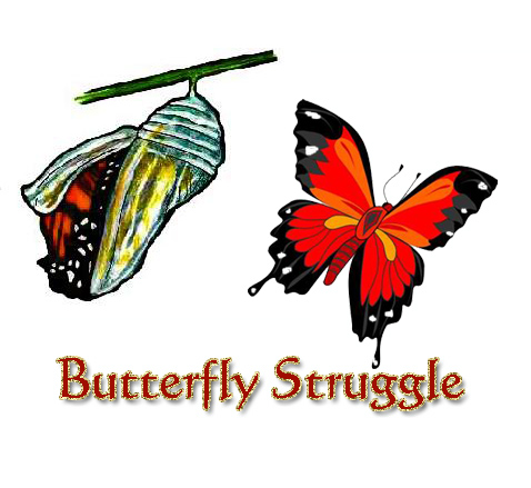 Butterfly Struggle