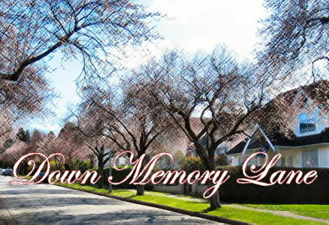 Down Memory Lane Edited and Used by permission of http://www.vancouverbnb.com (File name CherryBlossomBnB1)