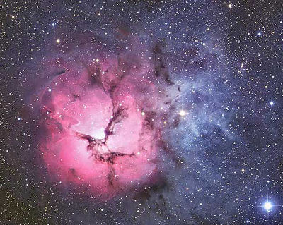 the trifid