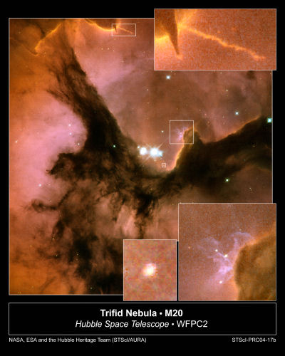 the trifid