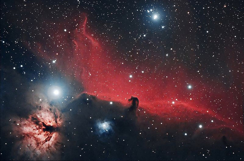 The Horsehead