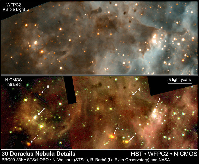 30 Doradus Nebula