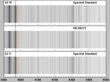Bar Plot of Star Spectrum