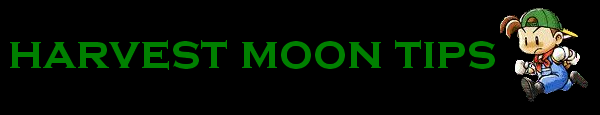 Harvest Moon Tips