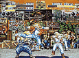 Fatal Fury