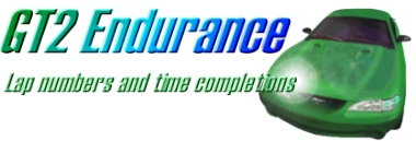 Endurance race information