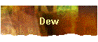 Dew