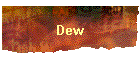 Dew