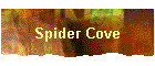 Spider Cove
