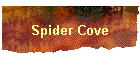 Spider Cove