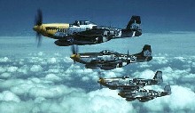 Mustangs in formation