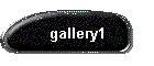 gallery1