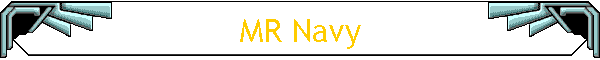 MR Navy