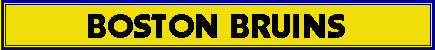 Boston Bruins