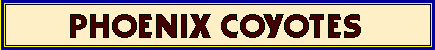 Phoenix Coyotes