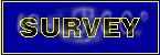 Survey