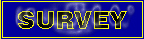 Survey