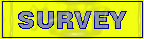 Survey