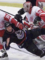 Vancouver is knocked down in front of Hasek
