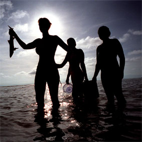 Click here to contact the host