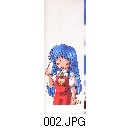 002.JPG[455�~1200]