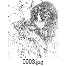 0903.jpg[698�~800]