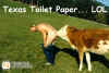 TexasToiletPaper.jpg (45508 bytes)