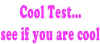 cool test.jpg (15498 bytes)