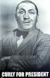 curly for pres.jpg (28875 bytes)