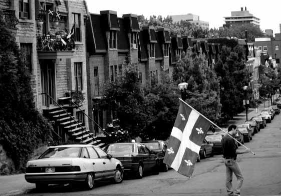 Follow the White Rabbit