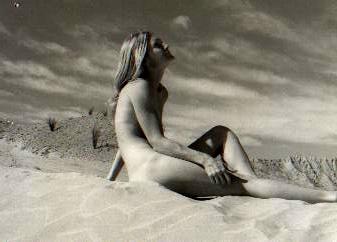 000000aadiego3.jpg (13301 bytes)