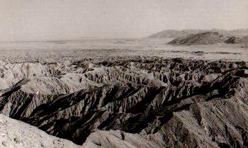 000000adiego3.jpg (20969 bytes)