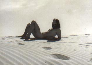 000000adiego5.jpg (8898 bytes)